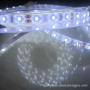 Most popular rgb 3528 thin led strip